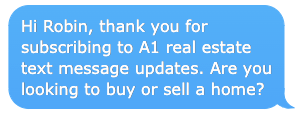 Real Estate Text Message Lead